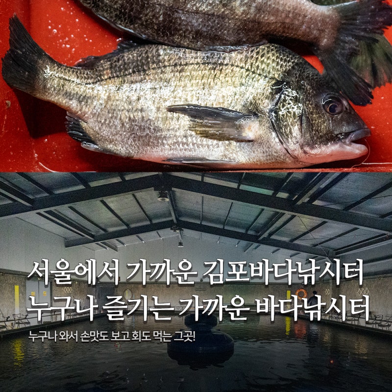 제이앤디 김포실내바다낚시터에서 손맛가득! 김포 이색데이트!