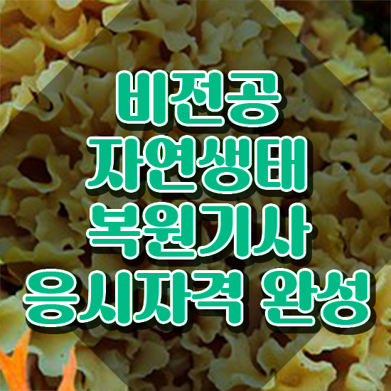  자연생태복원기사 응시조건 집에서 온라인으로 단기간에 끝낸 노하우