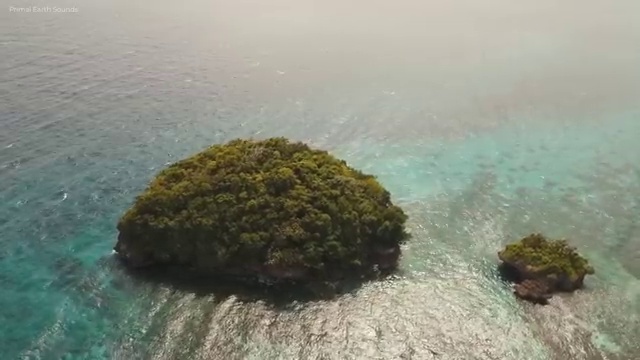 학점은행제 온라인강의 , 학점은행제 학사학위 온라인 과정만으로 편하게 준비했던 노하우