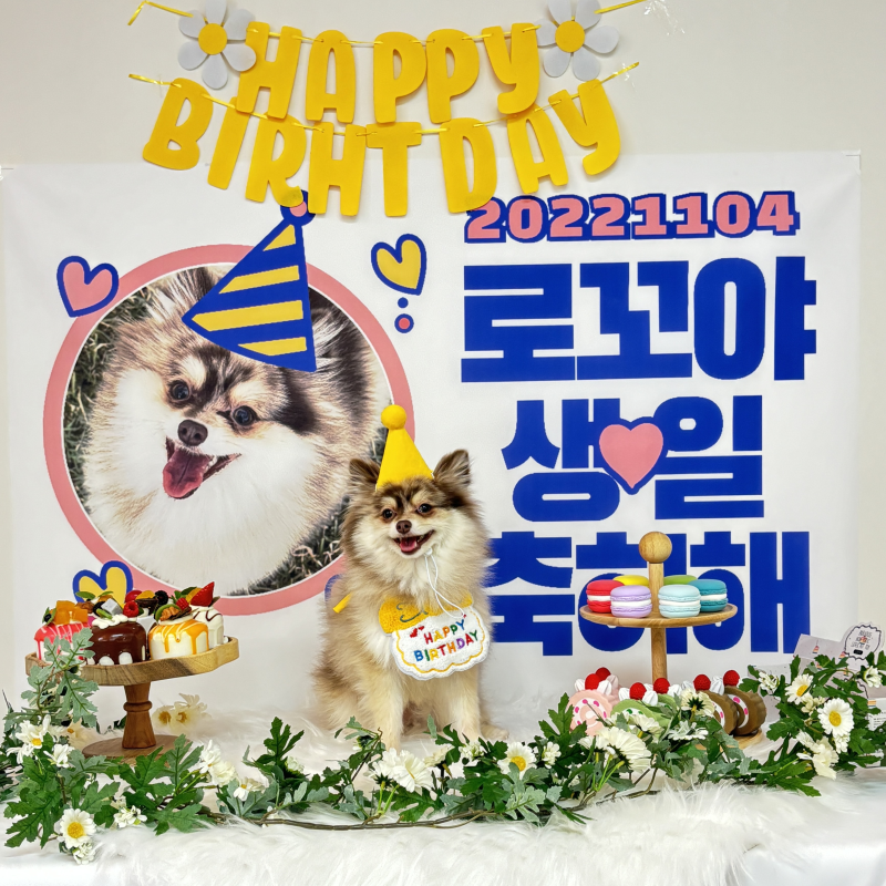 사진 2