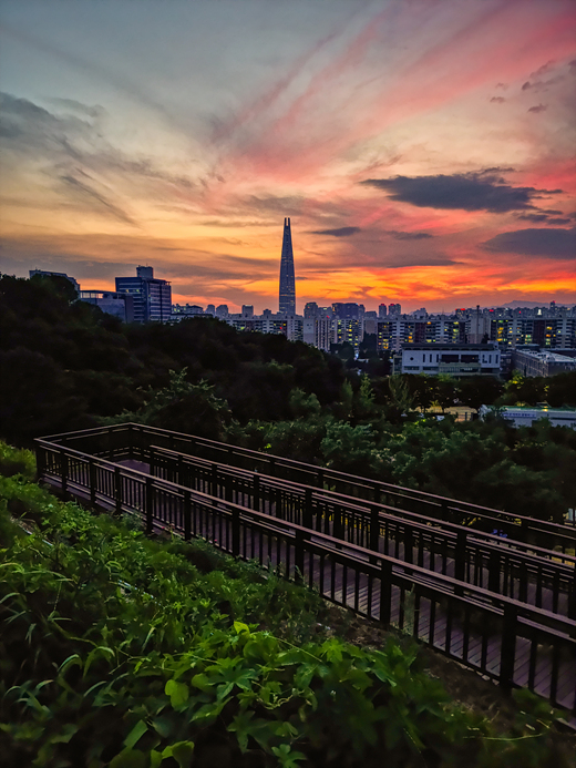  송파 _ 오금오름공원