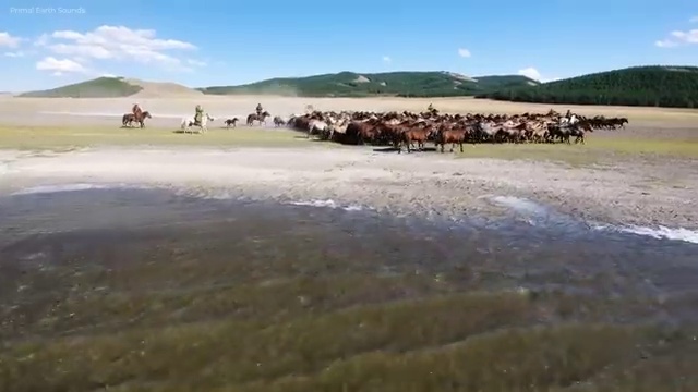  퍼스널컬러컨설턴트학원 , 퍼스널컬러컨설턴트 합격한 후기 , 교육기관