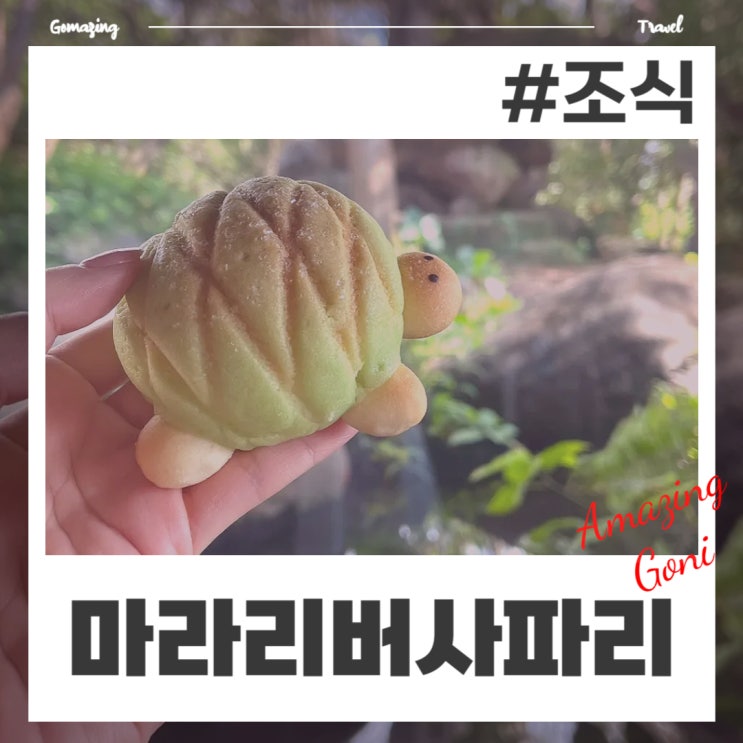 사자와 함께하는 아침 : 발리 마라리버 사파리 롯지 조식 체험기(feat. 조식시간) 사자와 함께하는 아침 : 발리 마라리버 사파리 롯지 조식 체험기(feat. 조식시간)