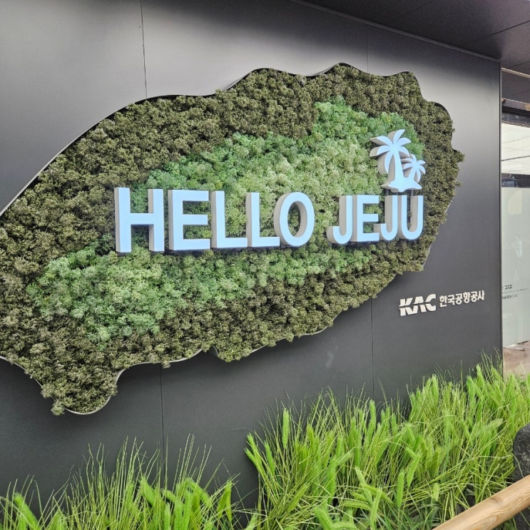  제주도 3박 4일 여행기록 코스 1일차 보말칼국수, 디아일랜드블루호텔, 소린이네 횟집