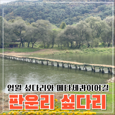  영월 가볼만한곳 판운리 섶다리 보보스캇