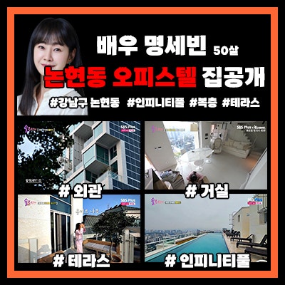 [솔로라서] 배우 명세빈, 강남구 논현동 하이엔드 오피스텔 도시형생활주택 (도생) 집공개 (....