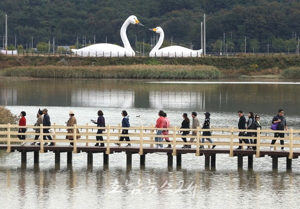  제9회 강진만 춤추는 갈대축제 관광객 15만명 몰려..대한민국 가을 축제 대명사 여실히 증명