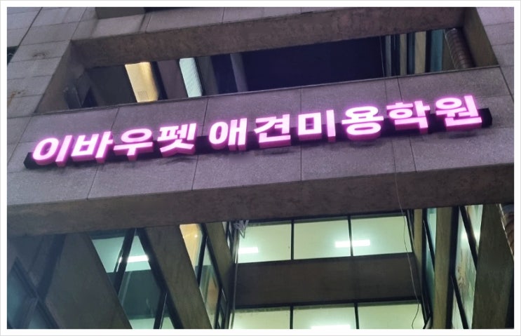  종로 강아지미용학원 이바우펫교육과정 수강료 혜택안내