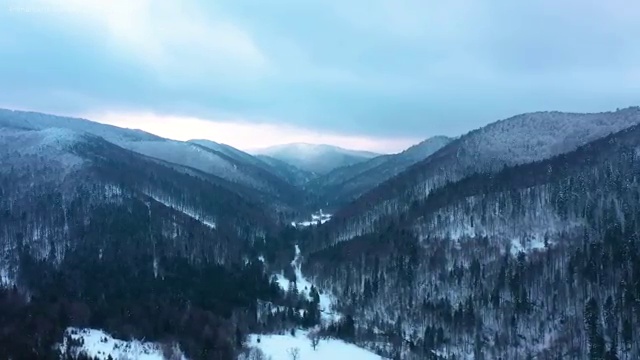 사회복지사공부법 , 사회복지사2급 중년 직장인도 학은제로 쉽고 빠르게