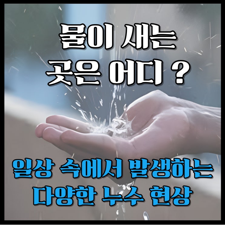  물이 새는 곳은 어디? 일상 속에서 발생하는 다양한 누수 현상 알아보기