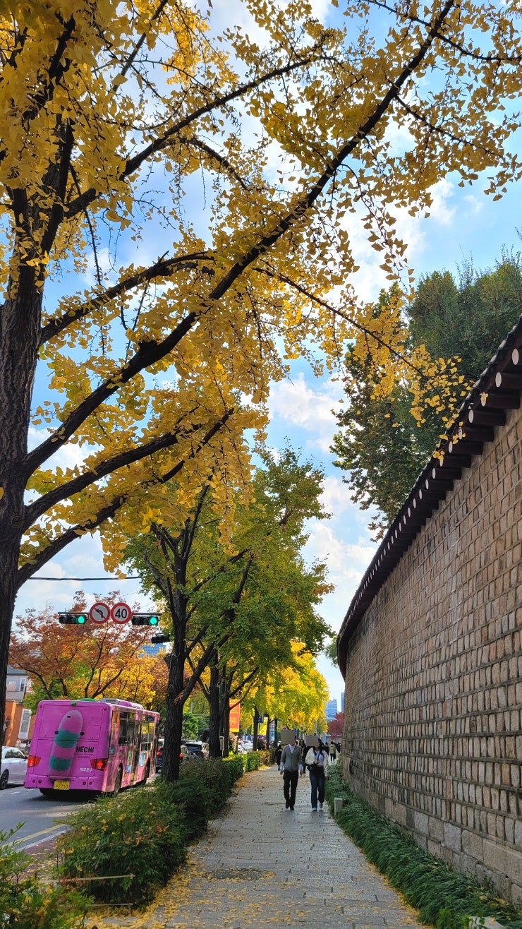  서울 단풍 명소: 11월 초 경복궁 서촌 단풍 상황과 서울 단풍절정 예상시기