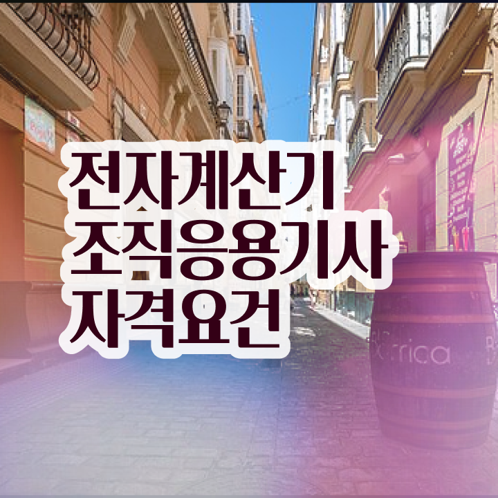  전자계산기조직응용기사 시험자격 온라인 수업으로 편하게 끝낸 전략