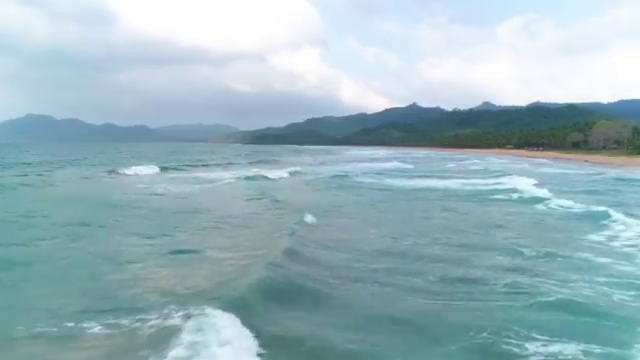  대전 바리스타 국비지원 , 바리스타 자격증 독학으로 취득한 과정 , 취업