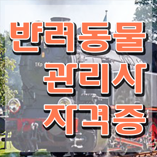  반려동물관리사 취업 , 반려동물관리사 자격증 독학으로 시험준비 정보 가득