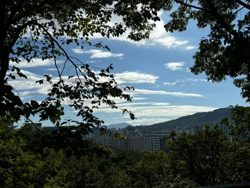 사진 9