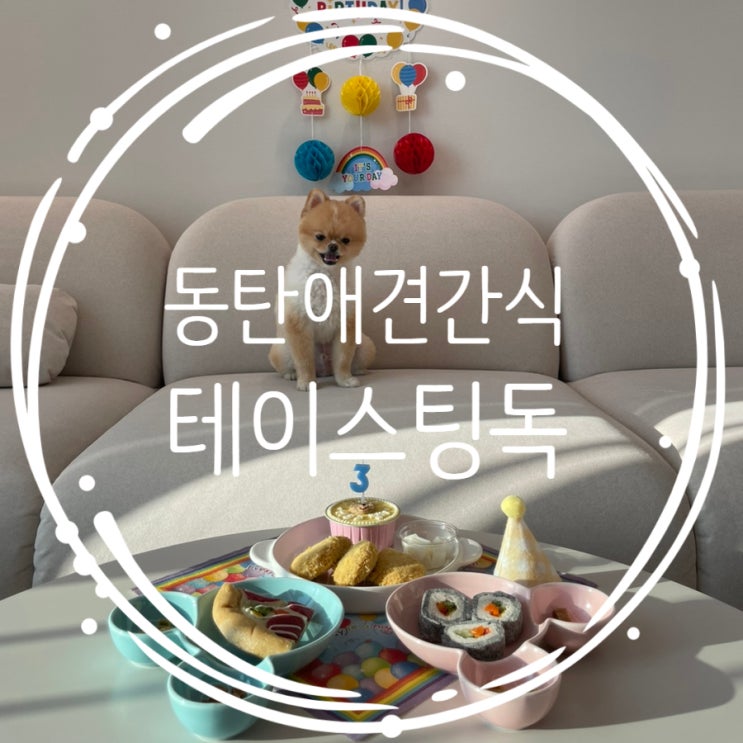  테이스팅독 동탄강아지케익으로 완벽한 젤리 생일파티 준비