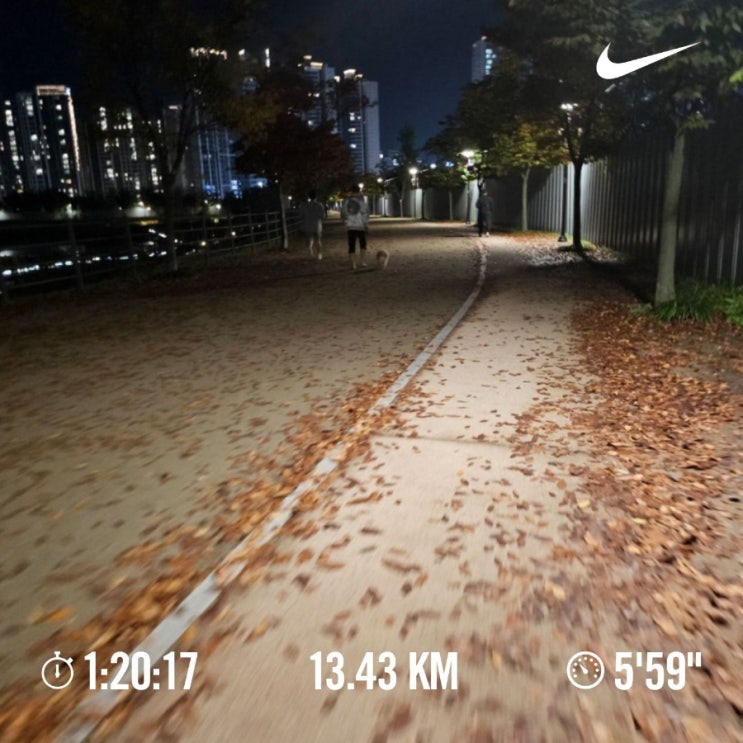 [챌린지]매일10km 러닝 및 걷기 챌린지1181일차