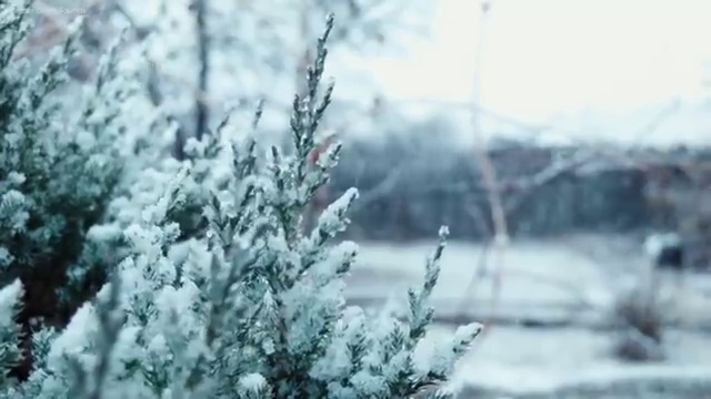  학점은행제 학습플래너 , 학점은행제 플래너 연락주세요 . 비용절감 시간 단축 전략 알려드려요