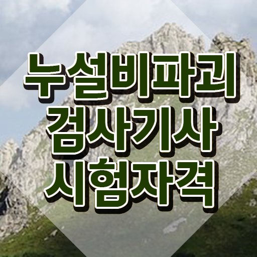  누설비파괴검사기사 응시자격 서류제출 누설비파괴검사기사 시험응시조건 집에서 온라인으로 빠르게 끝낸 팁