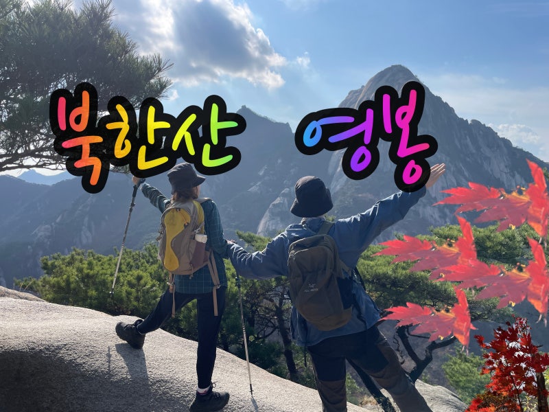 사진 10