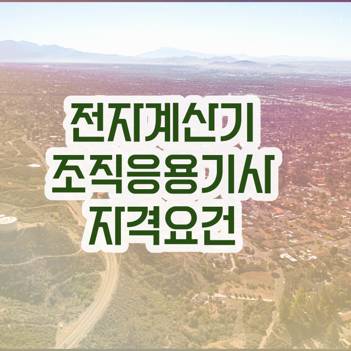  전자계산기조직응용기사 시험 자격 전자계산기조직응용기사 응시조건 인강으로 간단하게 끝낸 팁