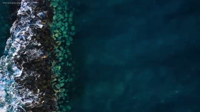 2급아동심리상담사자격증따기 , 아동심리상담사 자격증 2주 만에 합격한 비법 및 고용 전망
