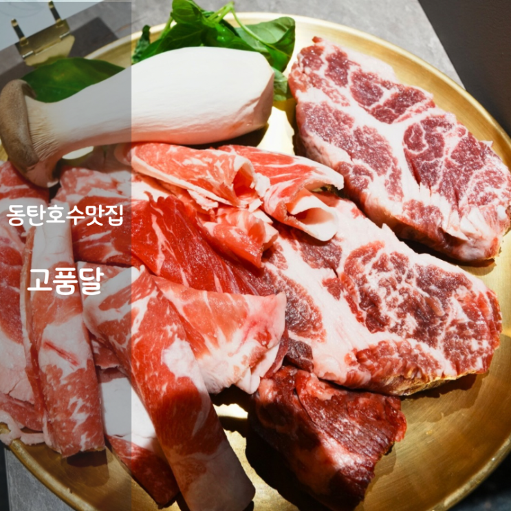  동탄호수공원 맛집 고기집 고품달 이베리코 뜻 이베리코 목살 돼지고기