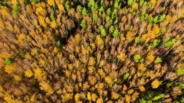  소방안전관리자 선임 기준 , 산업안전기사 시험응시자격 온라인 과정으로 빠르게 성공한 방법