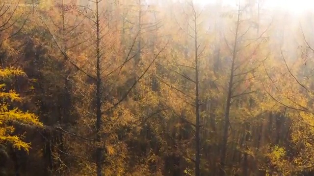  요양병원관리사 기간 , 요양병원관리사 자격증 한달 만에 합격한 전략 핵심 정보 가득