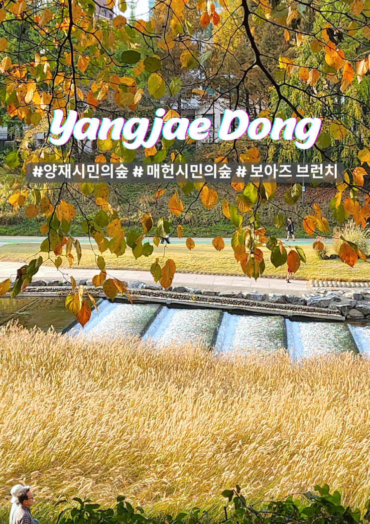  양재 시민의숲 브런치 카페 보아즈 매헌시민의숲 산책