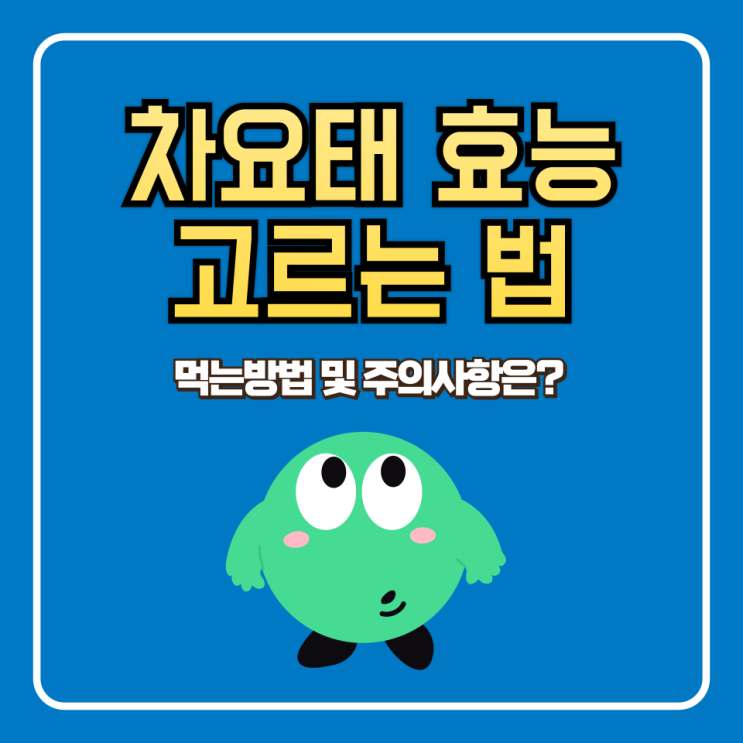  차요태 효능 먹는 방법 및 고르는 법