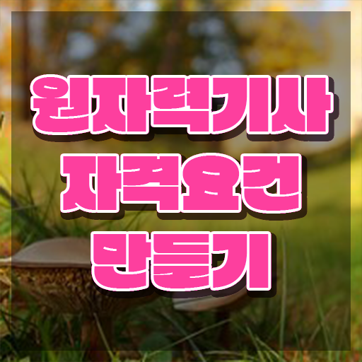  원자력기사 응시자격 서류 원자력기사 시험응시조건 독학으로 간단하게 완료한 비법