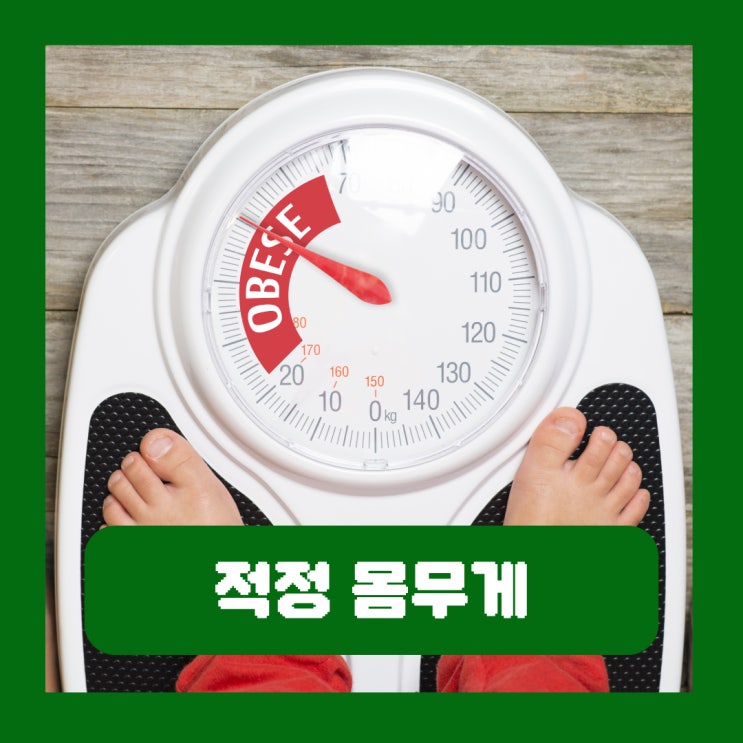  키별 적정 몸무게 남자 여자 계산 재는 시간