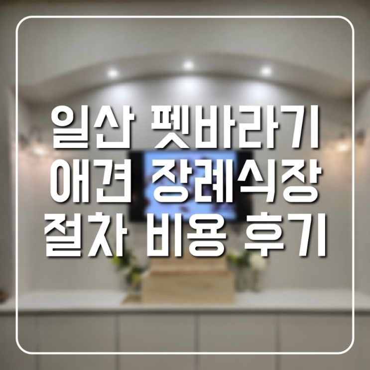  일산 펫바라기 강아지 장례식장 솔직 후기 픽업 및 장례 절차 비용
