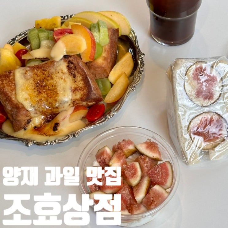  양재 과일 맛집 조효상점 후기 | 위치 메뉴 가격 과일편집샵