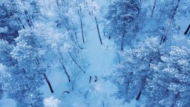  결혼 상담사 자격증 , 심리상담사 자격증 쉽고 빠르게 합격한 팁 및 활용 방법