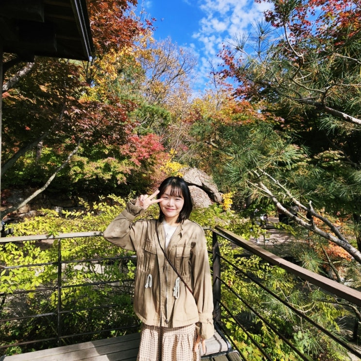  화담숲 단풍놀이 데이트  (10.31.방문후기, 꿀팁)