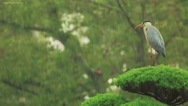  고졸 사회복지사 1급 , 학점은행제 학사전공 일하면서 준비하는 꿀팁 모음