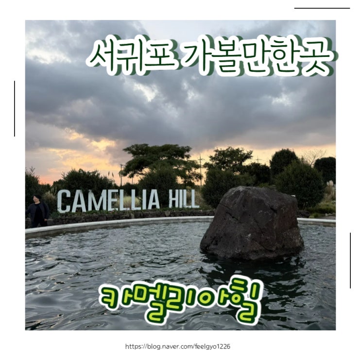  아이랑 제주여행 제주 서귀포가볼만한곳 카멜리아힐