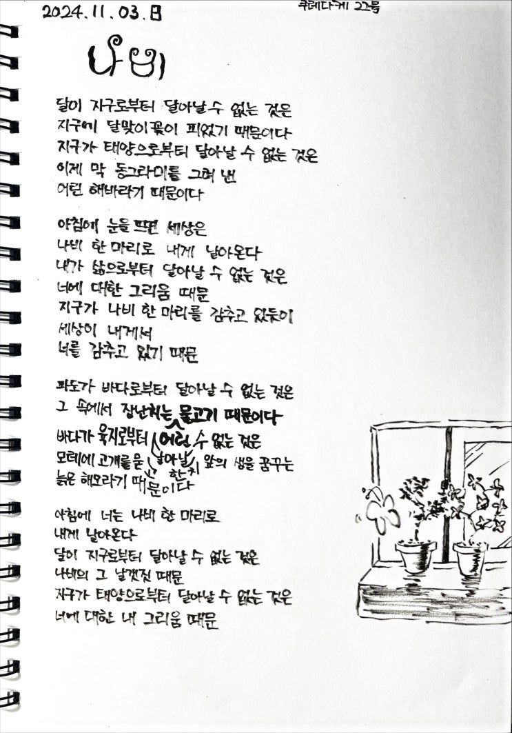  [필사] 나비-류시화