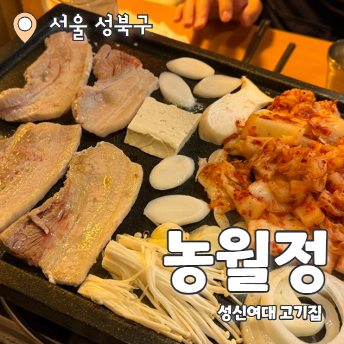  농월정 : 옛날삼겹살 그대로 성신여대 고기집 내돈내산 추천 후기