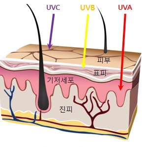 훈's 피부이야기9 / 자외선차단제