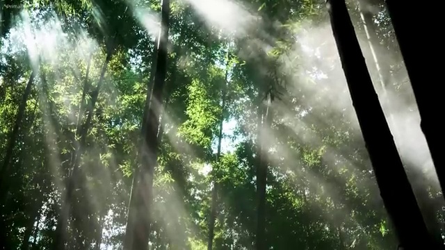  고졸사회복지사자격증 , 관련학과 졸업장 없어도 학점은행제 전공 공부 걱정하지 말아요