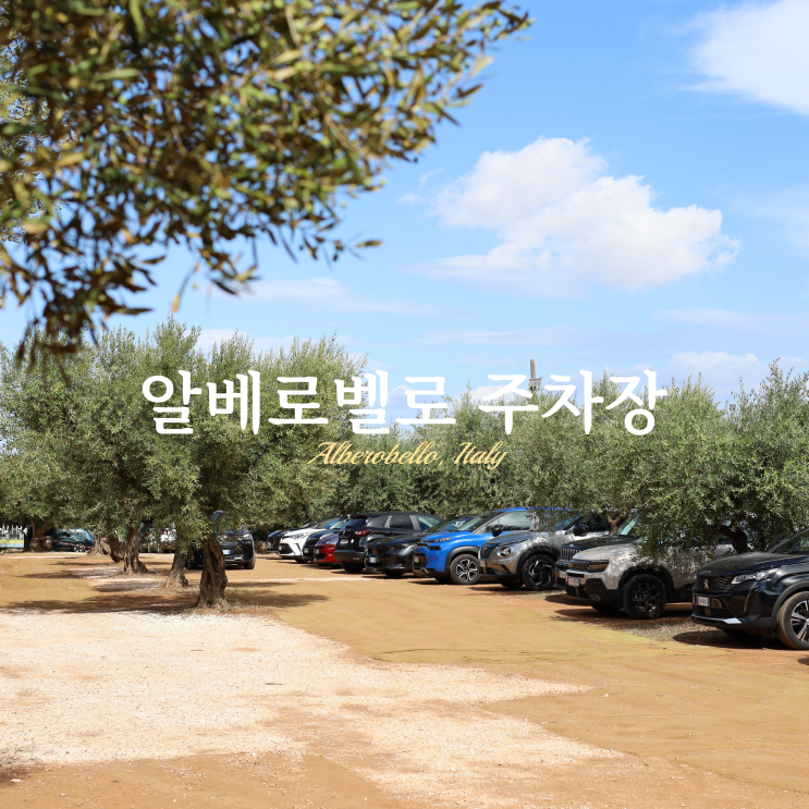 이탈리아 알베로벨로 주차장 위치 요금 안내 이탈리아 알베로벨로 주차장 위치 요금 안내