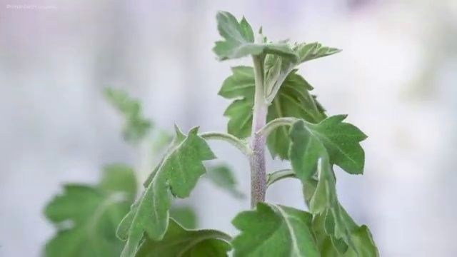  집합건물관리사 , 쉽고 빠르게 집합건물관리사자격증 취득한 과정 확인해봅시다