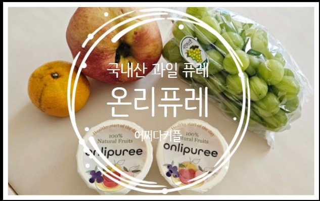  우리집 아이 여행 필수품이 된 국내산 과일 퓨레 제주 감귤로 만든 온리퓨레