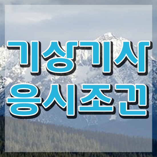  기상기사 취득자격 온라인으로 단기간에 완료한 방법