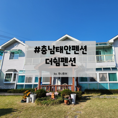 사진 7