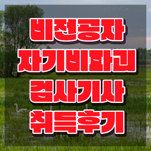  자기비파괴검사기사 일정 , 인강만 듣고 자기비파괴검사기사 공부한 방법