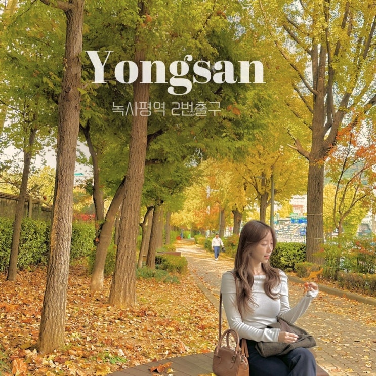  녹사평역 은행나무길 | 용산공원 옆 해방촌 가는길 단풍스팟